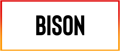 Bison Font free download