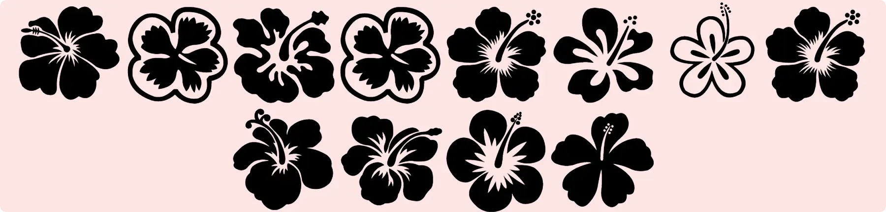 Hibiscus Font