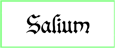 Salium Font free download