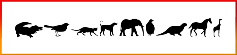 Animals Font free download