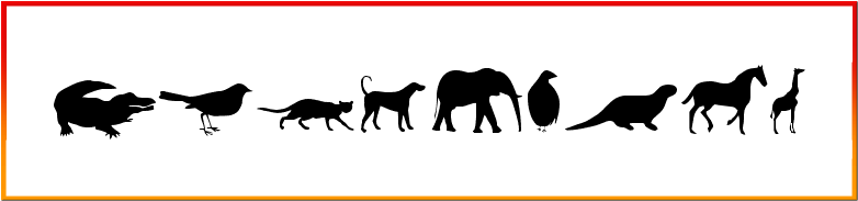 Animals Font free download