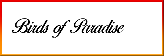 Birds of Paradise font free download