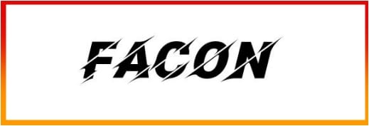 Facon Font free download