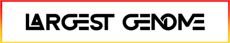 Largest Genome Font free download
