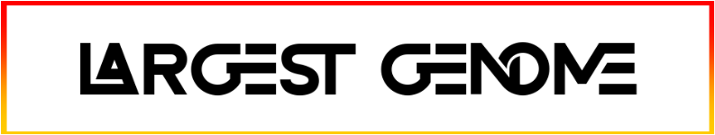 Largest Genome Font free download