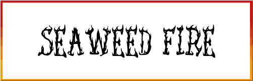 Seaweed Fire AOE Font free download