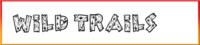Wild Trails Font free download