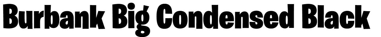 Burbank Big Condensed Black font free
