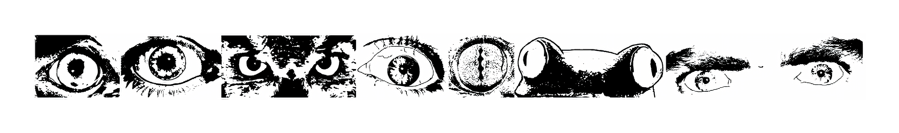 Eye Spy font free