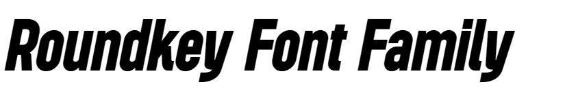Roundkey Font free