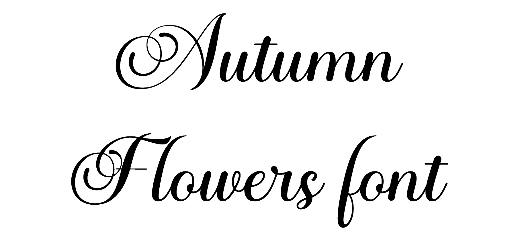 Autumn Flowers Font