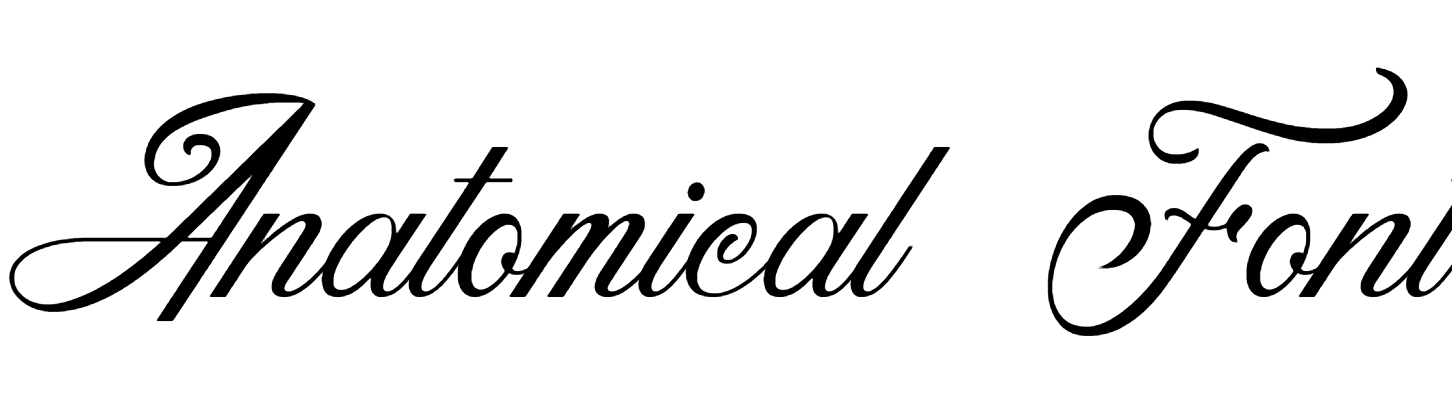 Anatomical Font Download