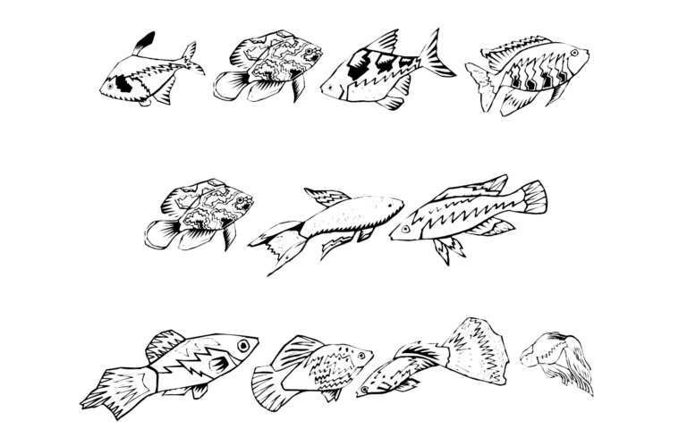 Fishing Font Download, Fish font symbol, Fish Symbols