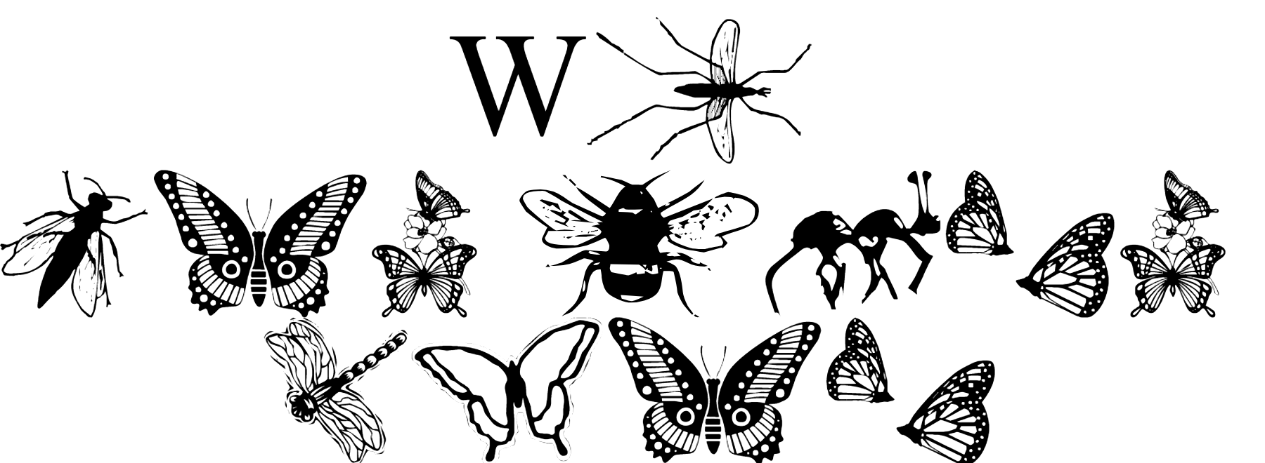 WM Insects Font Download