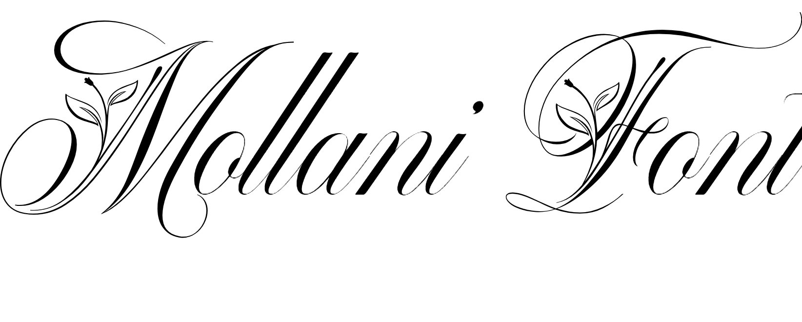 Mollani Font Download