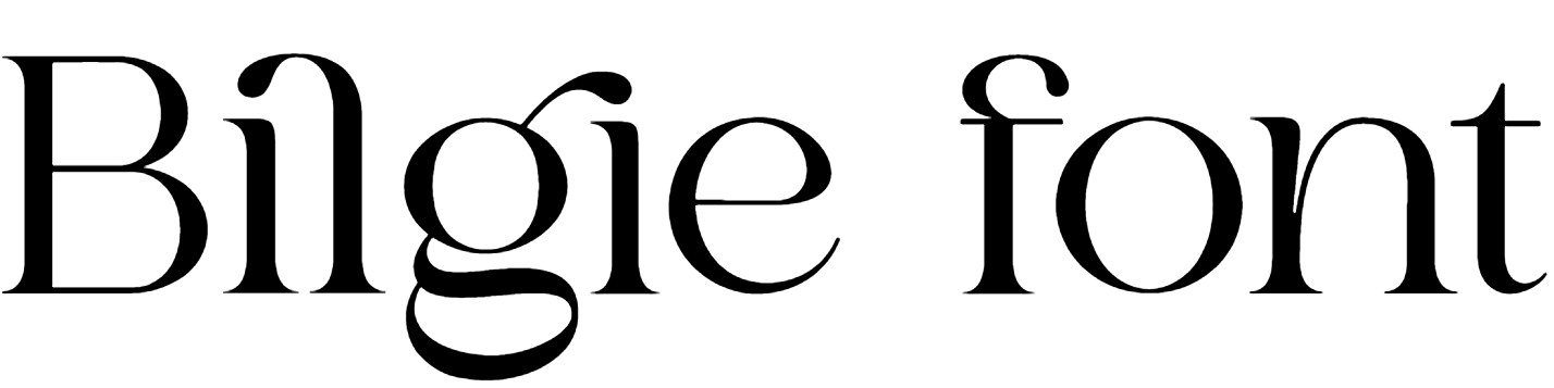 Bilgie font download