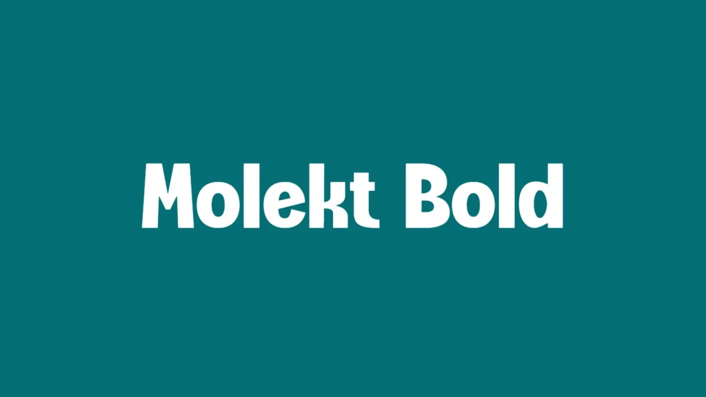 Molekt Bold