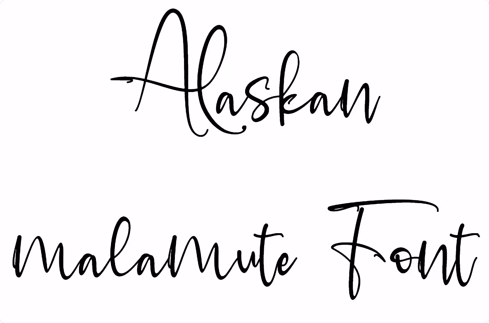 Alaskan malamute Font