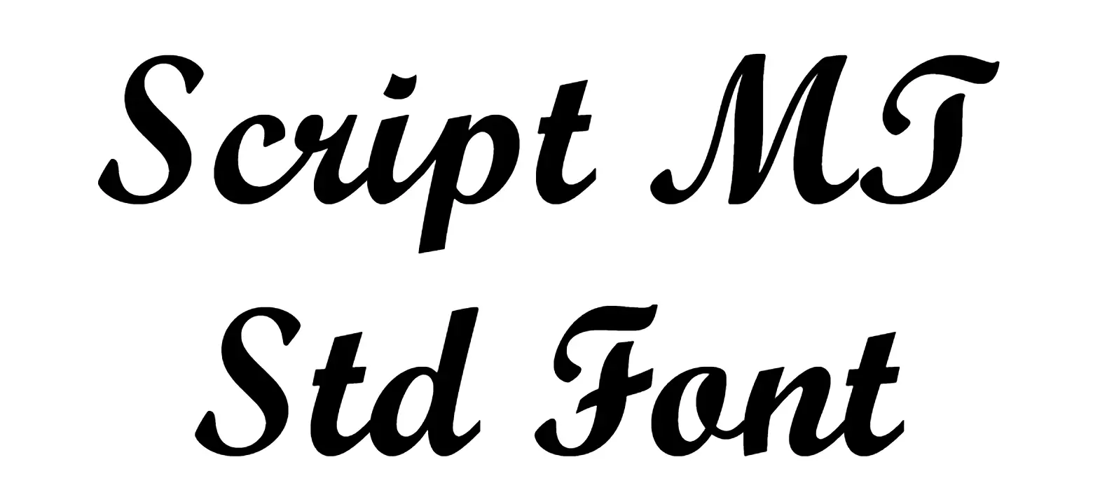 Script MT Std Font
