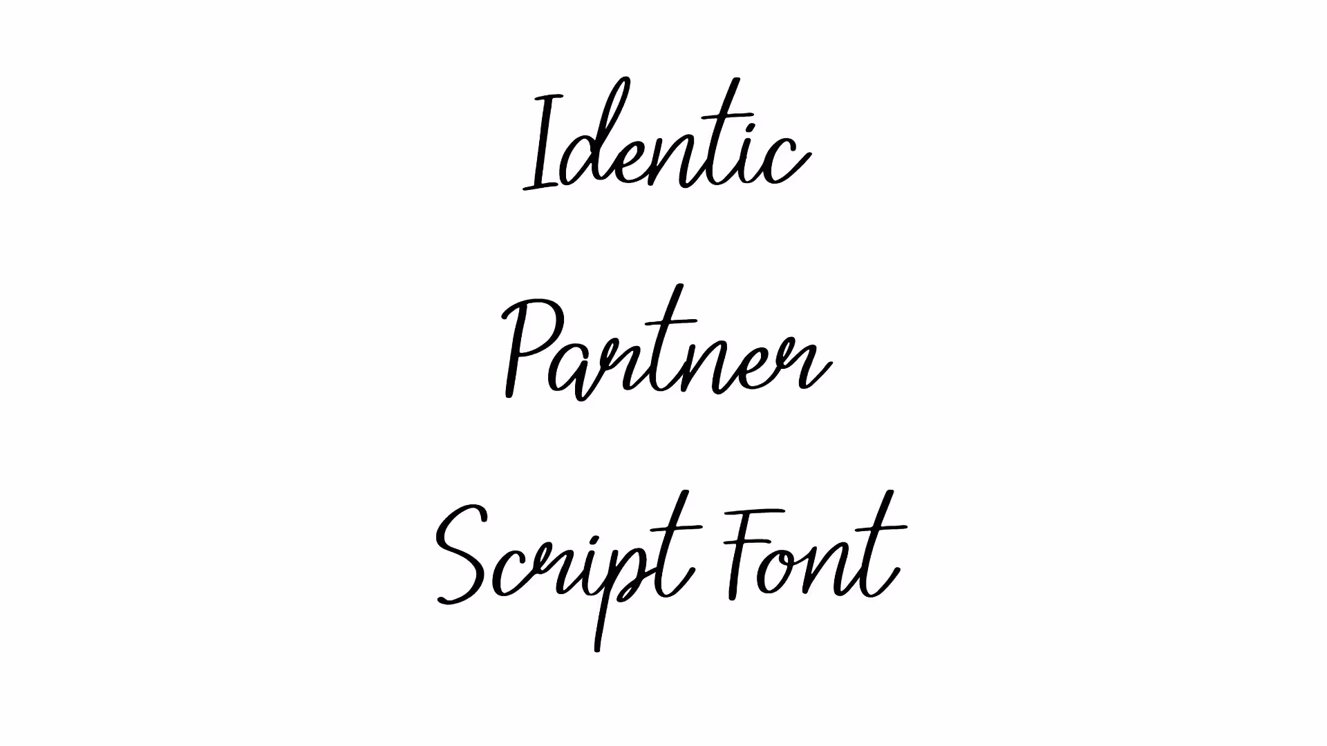 Identic Partner Script Font